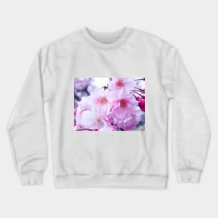 Photography - Plum blossom Crewneck Sweatshirt